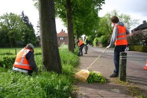 samen-werken_onkruidbeheer