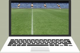 Webinar chemievrij beheer sportgrasvelden