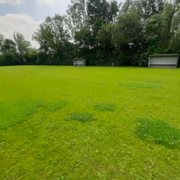 Sportveld_Fieldmanager07092020