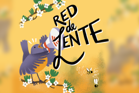 Red de lente