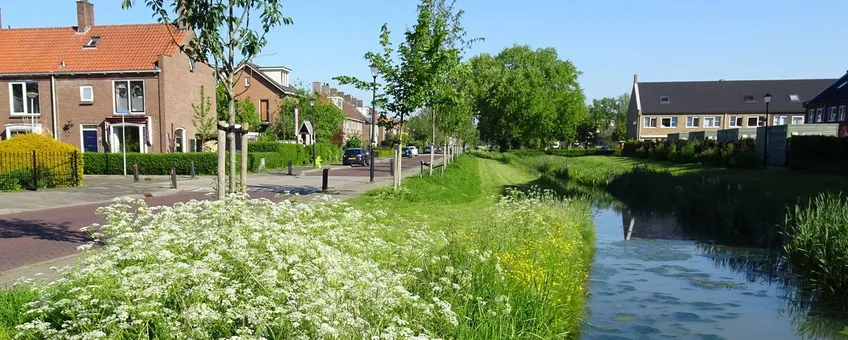 Bermbeheer_Vlinderstichting_NatureToday