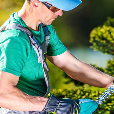 Gardener with Cordless Trimming Tool. Panoramic Photo.