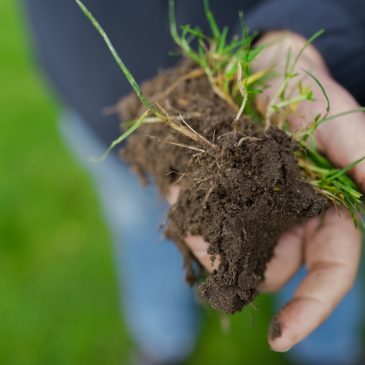 Fieldmanager_vanLogten