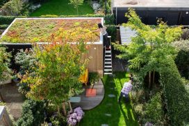 Velt_Klimaatadaptieve-tuin-sedum-dak-04-1-1024x682