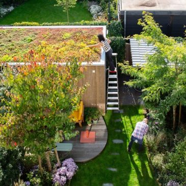 Velt_Klimaatadaptieve-tuin-sedum-dak-04-1-1024x682