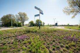 LivingLandscapeAlkmaar