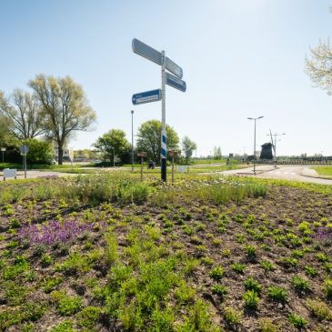 LivingLandscapeAlkmaar