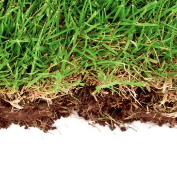 WebinarChemievrijSportveldenbeheer