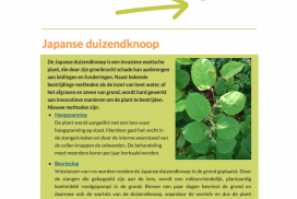 Onkruidwijzer