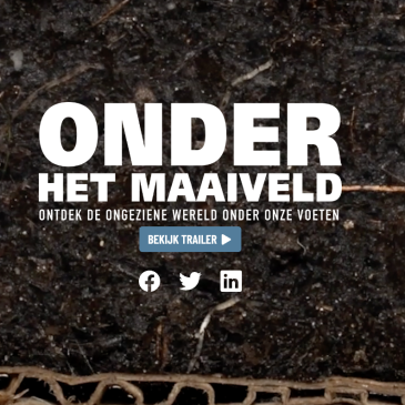Onder het maaiveld