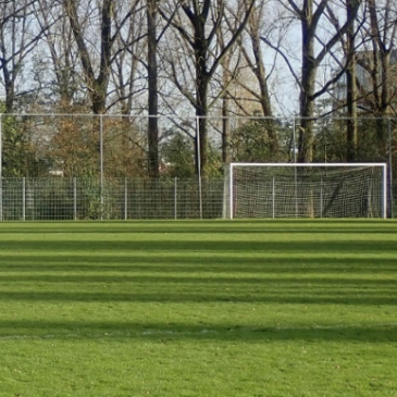 Voetbalveld