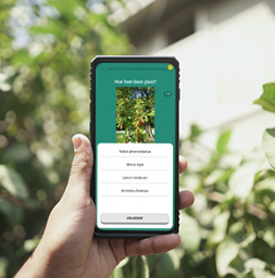 Plantenkennistrainer