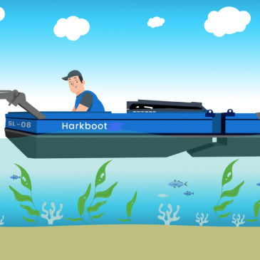 Harkboot