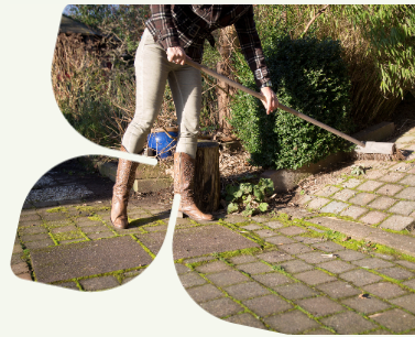 Maand van de groene tuin