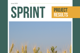 Sprint