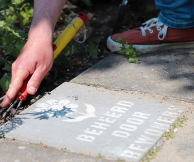 Boomspiegels Utrecht