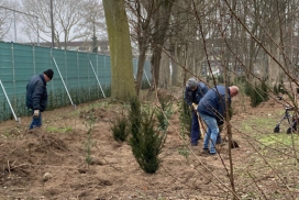 's-Hertogenbosch_DBN