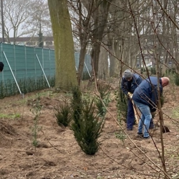 's-Hertogenbosch_DBN