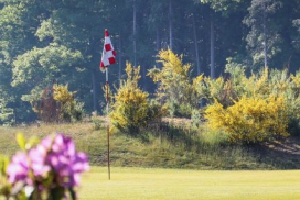 Golfbaan_NGF