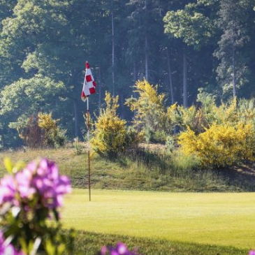 Golfbaan_NGF