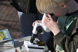 expeditiestadsnatuur_Naturalis_Leiden