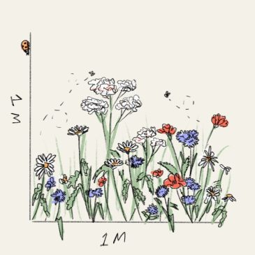 DeWildeTuin_Lotte Dijkstra