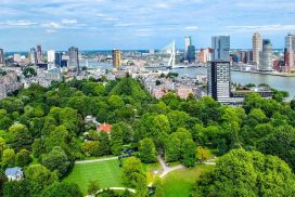 Biodiversiteit_Bebouwing