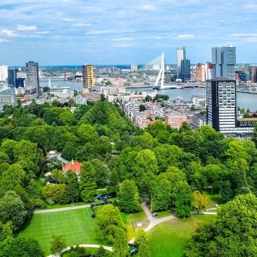 Biodiversiteit_Bebouwing