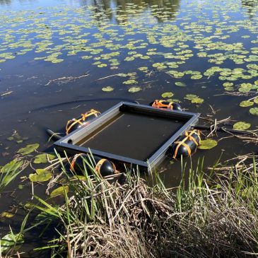 OpvangbakRievierkreeften_Zuiderzeeland