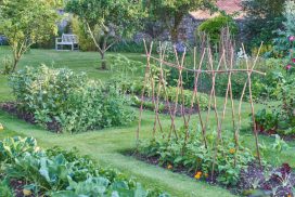 Moestuin