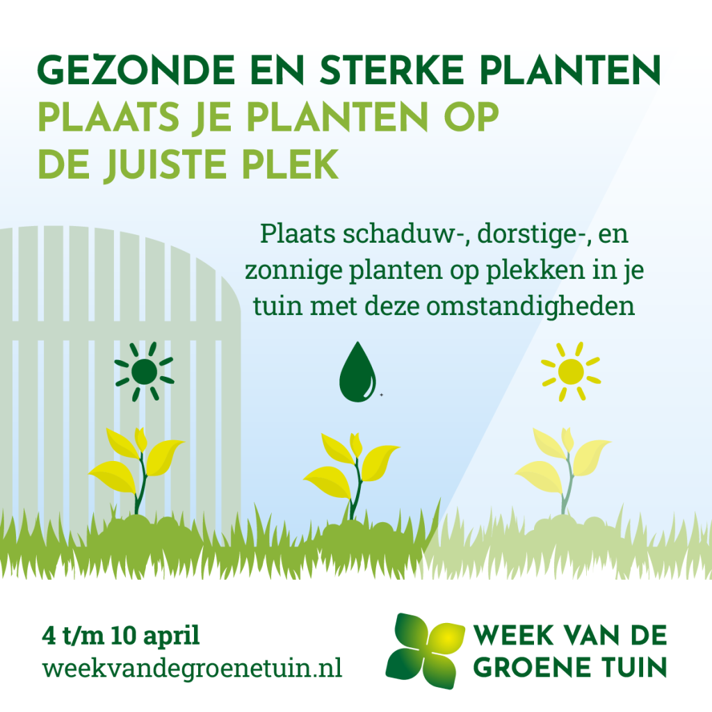 Gezonde en sterke planten_week van de groene tuin