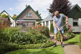 Steenbreek_tuinonderhoud