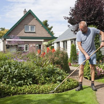 Steenbreek_tuinonderhoud